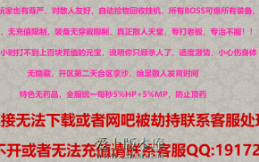 24-229-精修1.76发财元素大极品 复古三职业微变 铭文觉醒 1.70精品赤月 带网站_996PC