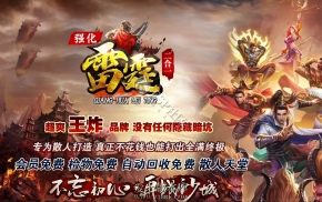 24-023-【雷霆二合一单职业】-超爽王炸-单件属性-强化-全爆终极、ESP插件-GOM引擎