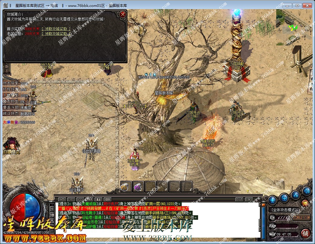 11.jpg