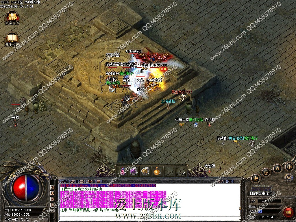 48.jpg