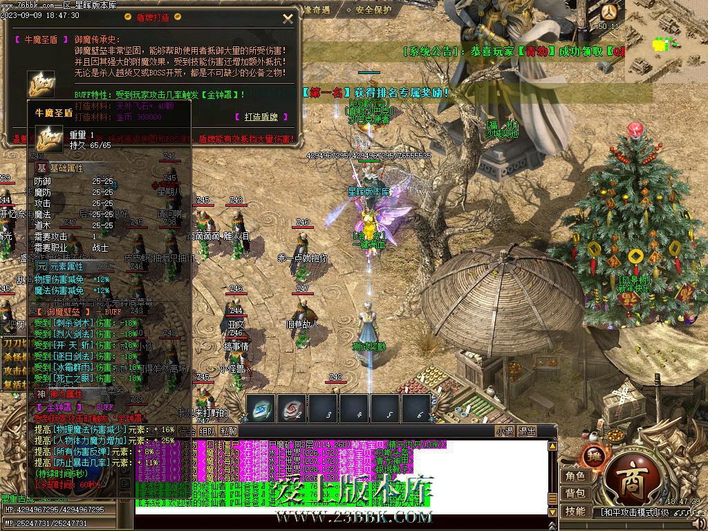 13.BMP